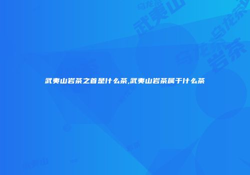 武夷山岩茶之首是什么茶,武夷山岩茶属于什么茶