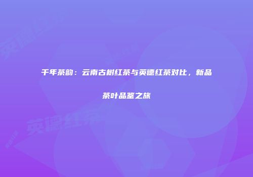 千年茶韵：云南古树红茶与英德红茶对比，新品茶叶品鉴之旅