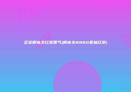 正宗桐木关红茶香气(桐木关8880老枞红茶)
