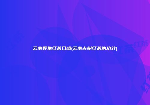 云南野生红茶口感(云南古树红茶的功效)