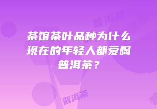 茶馆茶叶品种为什么现在的年轻人都爱喝普洱茶？
