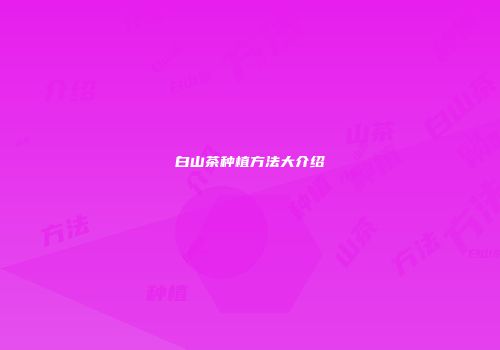 白山茶种植方法大介绍
