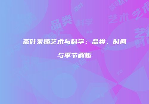 茶叶采摘艺术与科学：品类、时间与季节解析