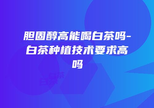 胆固醇高能喝白茶吗-白茶种植技术要求高吗
