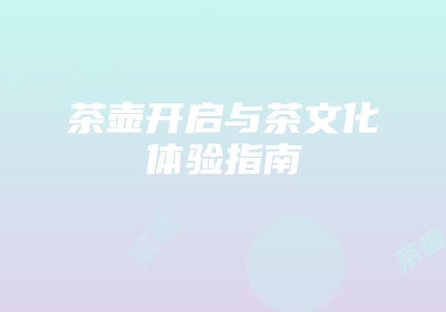 茶壶开启与茶文化体验指南
