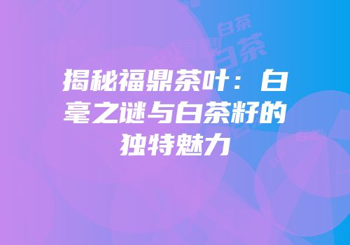 揭秘福鼎茶叶：白毫之谜与白茶籽的独特魅力