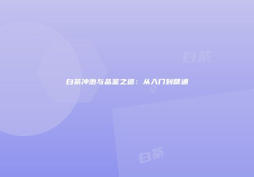 白茶冲泡与品鉴之道：从入门到精通