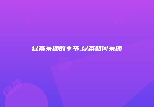 绿茶采摘的季节,绿茶如何采摘