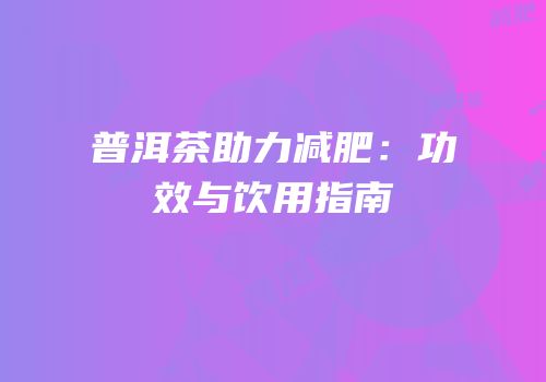 普洱茶助力减肥：功效与饮用指南