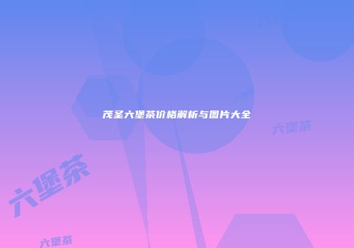 茂圣六堡茶价格解析与图片大全