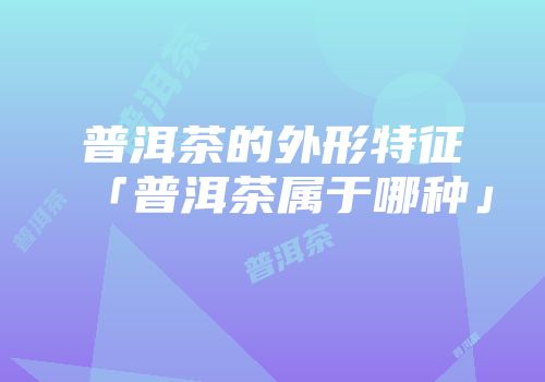 普洱茶的外形特征「普洱茶属于哪种」