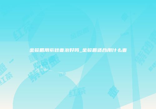 金骏眉用紫砂壶泡好吗_金骏眉适合用什么壶