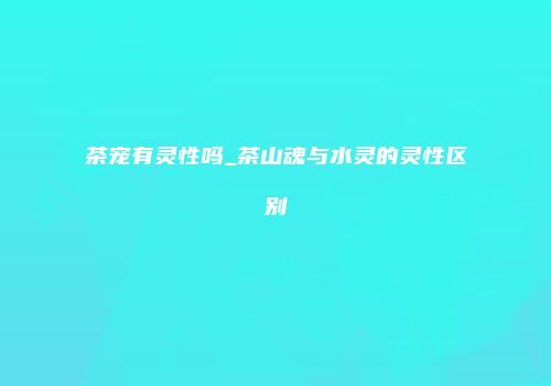 茶宠有灵性吗_茶山魂与水灵的灵性区别