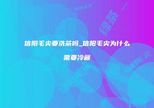 信阳毛尖要洗茶吗_信阳毛尖为什么需要冷藏