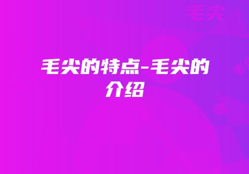 毛尖的特点-毛尖的介绍