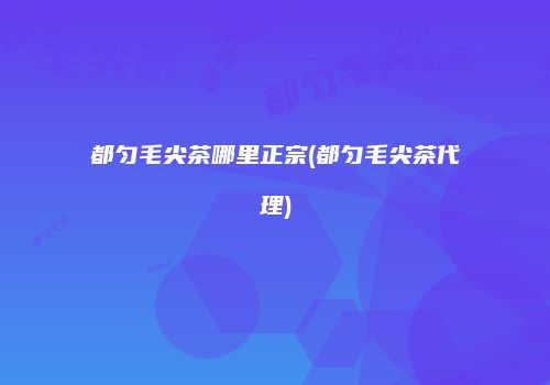 都匀毛尖茶哪里正宗(都匀毛尖茶代理)