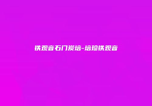 铁观音石门炭培-培珍铁观音