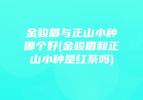 金骏眉与正山小种哪个好(金骏眉和正山小种是红茶吗)