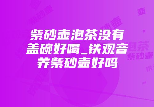 紫砂壶泡茶没有盖碗好喝_铁观音养紫砂壶好吗