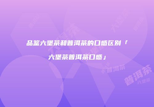 品鉴六堡茶和普洱茶的口感区别「六堡茶普洱茶口感」
