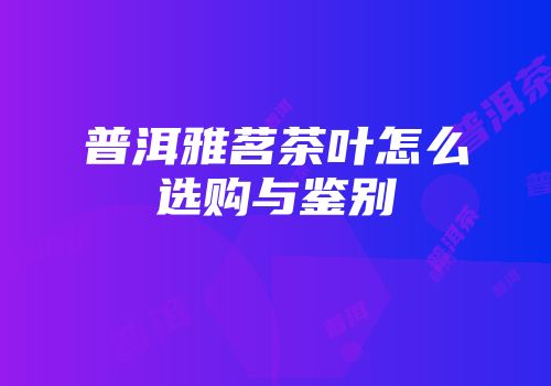普洱雅茗茶叶怎么选购与鉴别