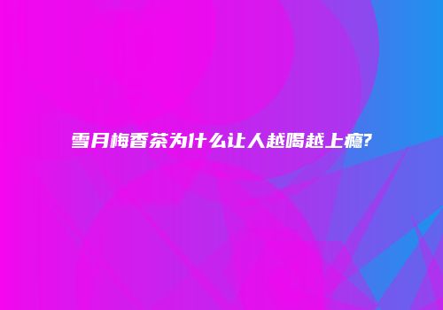 雪月梅香茶为什么让人越喝越上瘾?