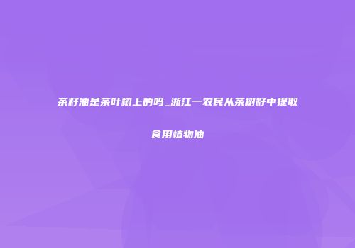 茶籽油是茶叶树上的吗_浙江一农民从茶树籽中提取食用植物油