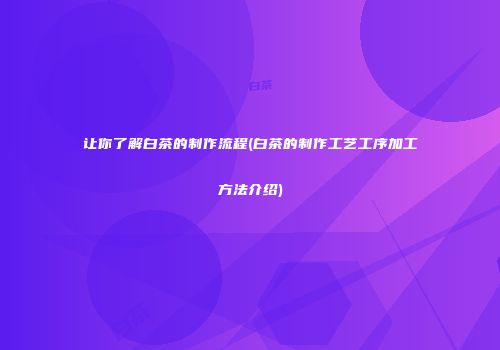 让你了解白茶的制作流程(白茶的制作工艺工序加工方法介绍)