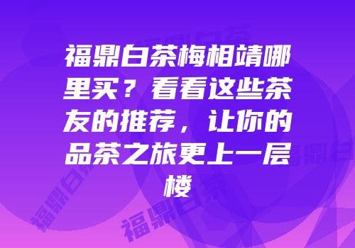福鼎白茶梅相靖哪里买？看看这些茶友的推荐，让你的品茶之旅更上一层楼