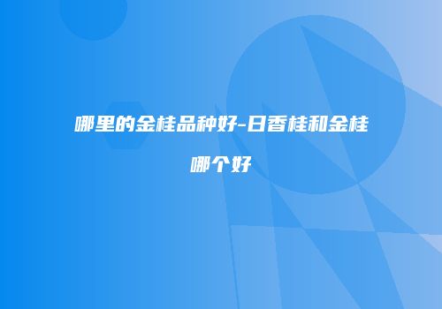 哪里的金桂品种好-日香桂和金桂哪个好