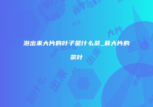 泡出来大片的叶子是什么茶_最大片的茶叶
