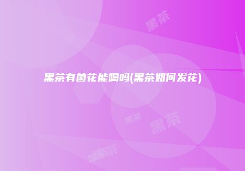 黑茶有菌花能喝吗(黑茶如何发花)