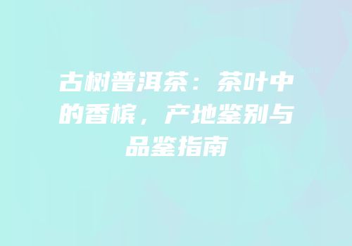 古树普洱茶：茶叶中的香槟，产地鉴别与品鉴指南
