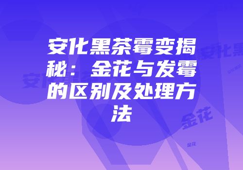 安化黑茶霉变揭秘：金花与发霉的区别及处理方法