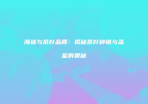 海拔与茶叶品质：揭秘茶叶种植与品鉴的奥秘