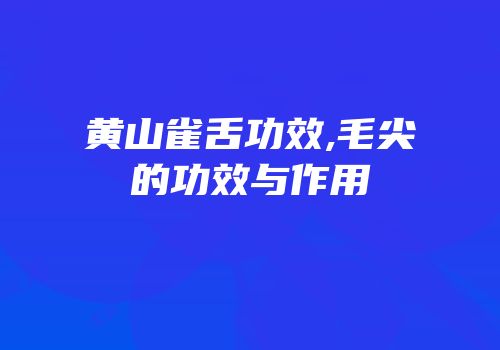 黄山雀舌功效,毛尖的功效与作用