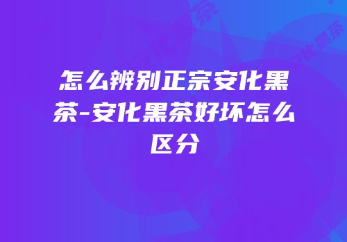 怎么辨别正宗安化黑茶-安化黑茶好坏怎么区分