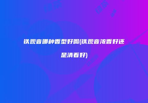 铁观音哪种香型好喝(铁观音浓香好还是清看好)