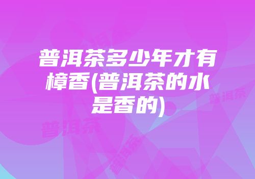 普洱茶多少年才有樟香(普洱茶的水是香的)