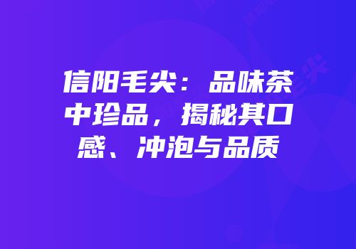 信阳毛尖：品味茶中珍品，揭秘其口感、冲泡与品质