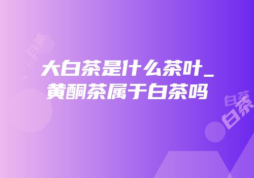 大白茶是什么茶叶_黄酮茶属于白茶吗
