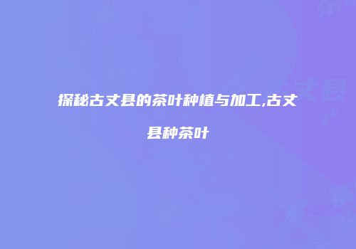 探秘古丈县的茶叶种植与加工,古丈县种茶叶