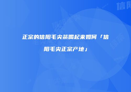 正宗的信阳毛尖茶喝起来如何「信阳毛尖正宗产地」