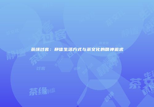 茶缘过客：静谧生活方式与茶文化的精神追求