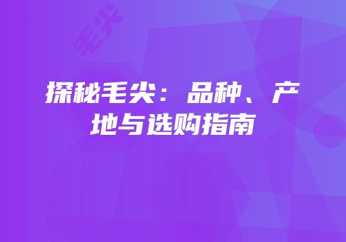探秘毛尖：品种、产地与选购指南