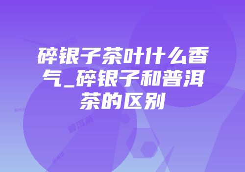 碎银子茶叶什么香气_碎银子和普洱茶的区别