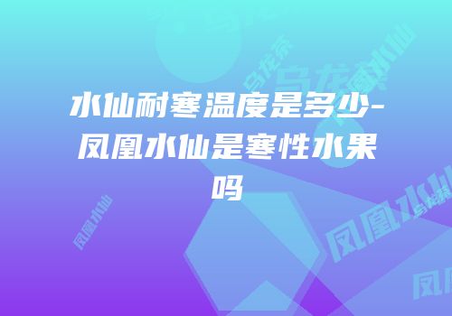 水仙耐寒温度是多少-凤凰水仙是寒性水果吗