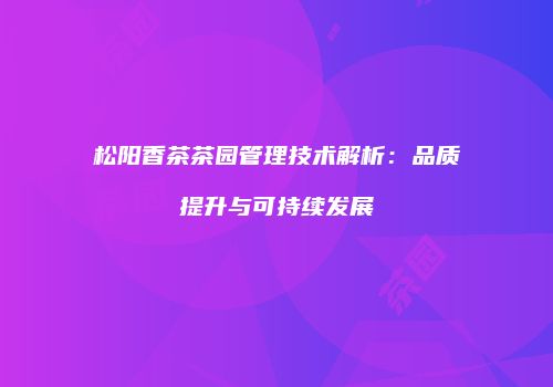 松阳香茶茶园管理技术解析：品质提升与可持续发展