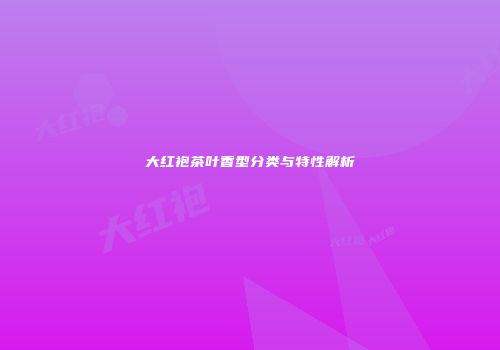 大红袍茶叶香型分类与特性解析