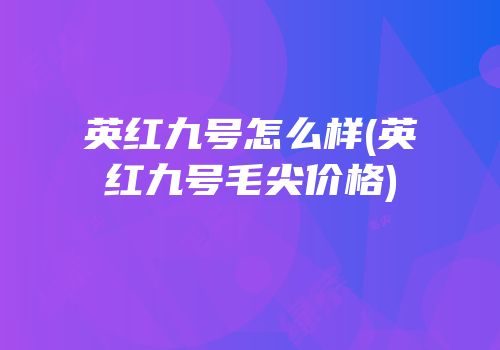 英红九号怎么样(英红九号毛尖价格)